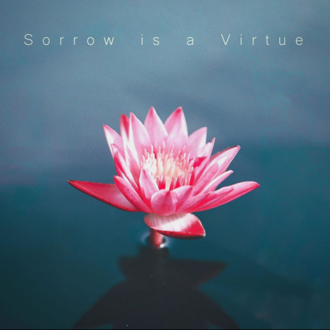 Julian Sherwood - Sorrow is a virtue rock album
